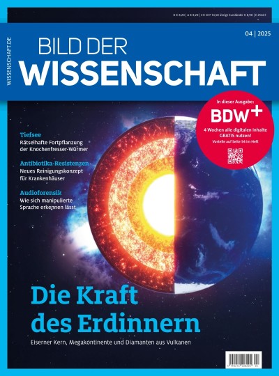 bild der wissenschaft