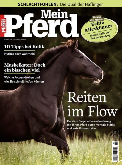 Mein Pferd